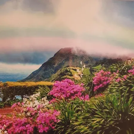 T3 شقة Ponta Delgada